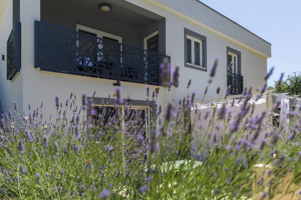 Luxury Villa Cetiri Hrasta Pićan Exterior foto